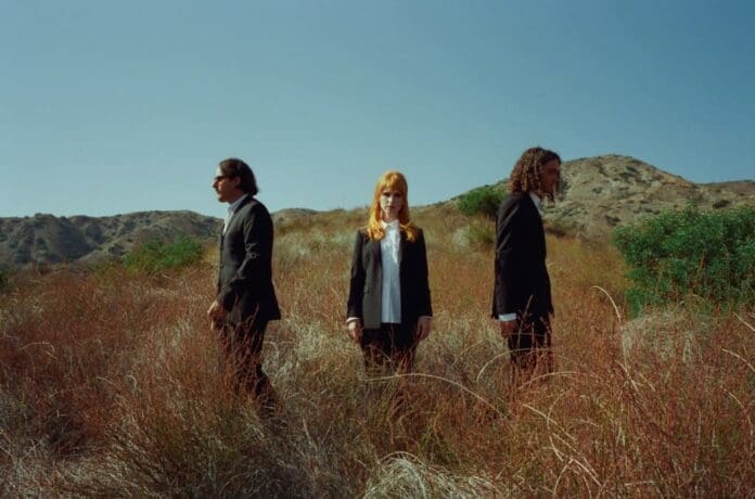 Three people standing in tall grass.