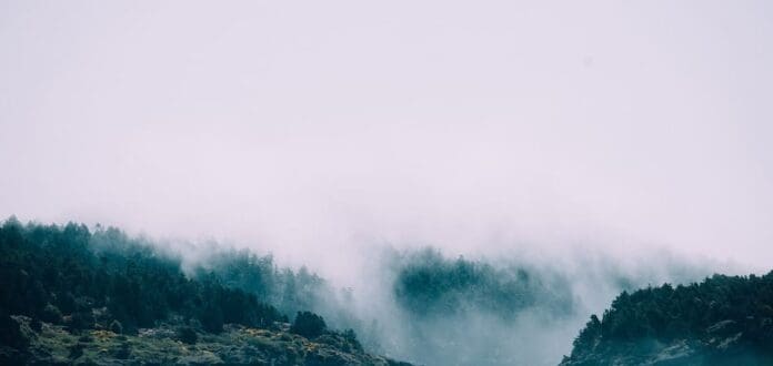 A fog covered mountain with trees in the background as RYAL delivers a new track.