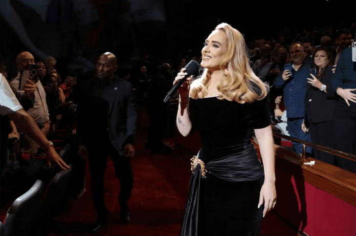 A woman in a black dress bravely defends her fans against concert security while holding a microphone.