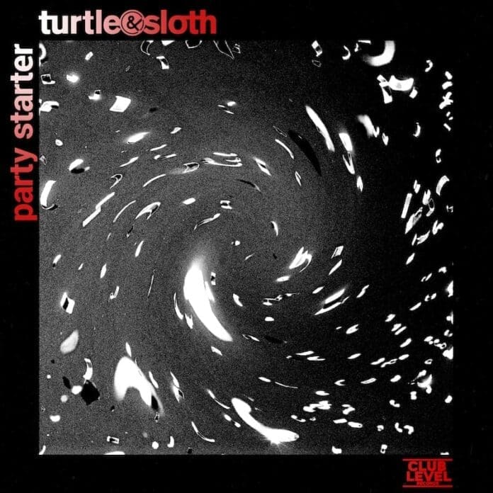 A black and white image of a turtle.