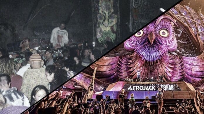 A picture of a crowd at a concert and a picture of an owl showcasing the Evolution of EDM.