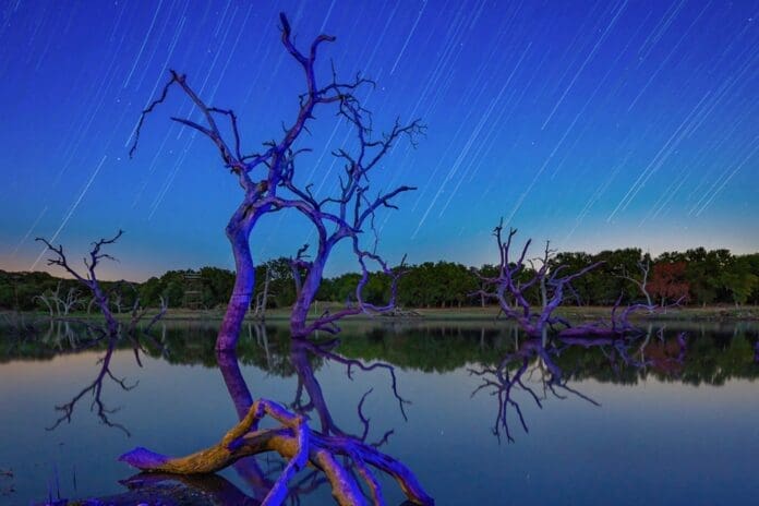 Star trails over a lake with dead trees featuring celestial celebration.