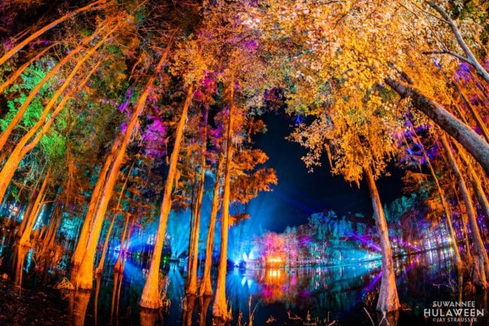 The trees are illuminated at night with vibrant lights.